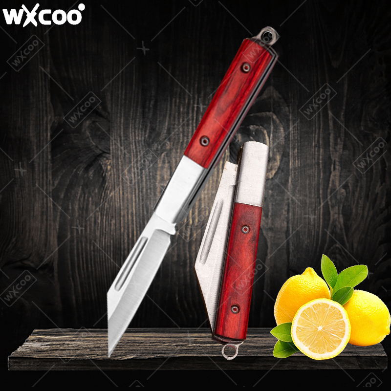 Stainless Steel Pocket Knife R - đánh giá và giá Kitchen Q